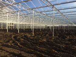 Ausbau Gewächshauspark Neurath